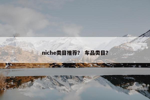 niche类目推荐？ 车品类目？