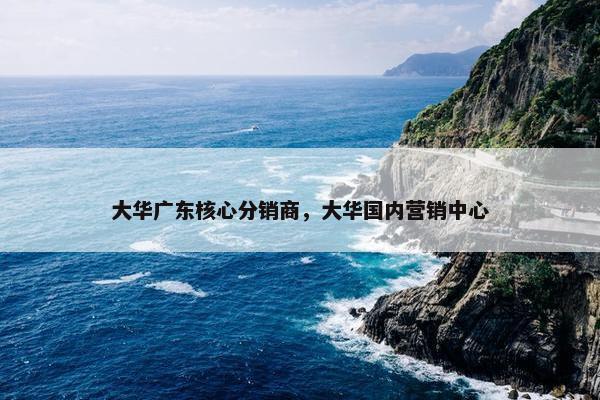 大华广东核心分销商，大华国内营销中心