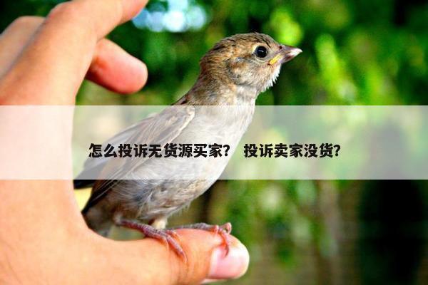 怎么投诉无货源买家？ 投诉卖家没货？