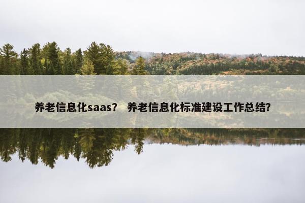 养老信息化saas？ 养老信息化标准建设工作总结？