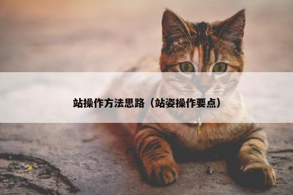 站操作方法思路（站姿操作要点）