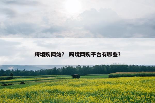 跨境购网站？ 跨境网购平台有哪些？