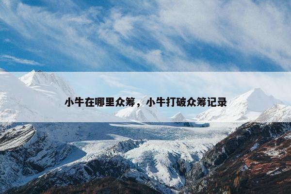 小牛在哪里众筹，小牛打破众筹记录
