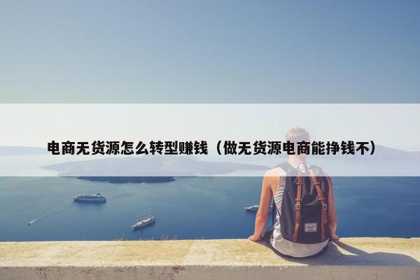 电商无货源怎么转型赚钱（做无货源电商能挣钱不）