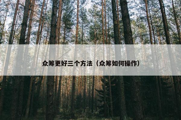 众筹更好三个方法（众筹如何操作）