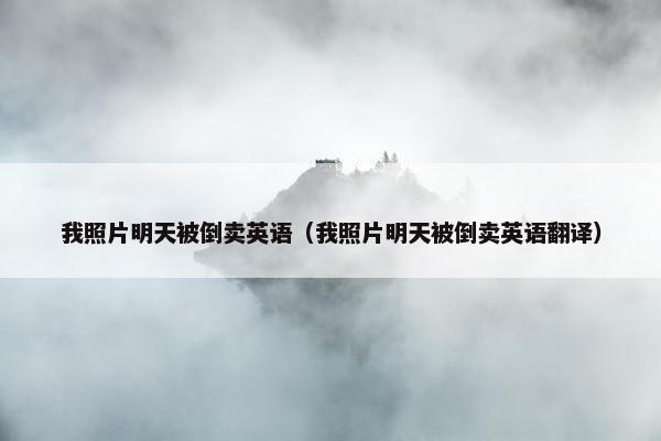 我照片明天被倒卖英语（我照片明天被倒卖英语翻译）