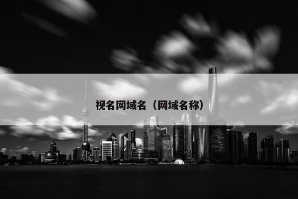 视名网域名（网域名称）