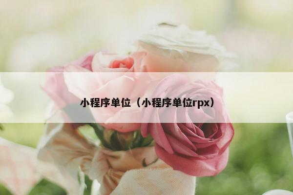 小程序单位（小程序单位rpx）