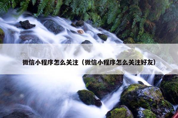 微信小程序怎么关注（微信小程序怎么关注好友）