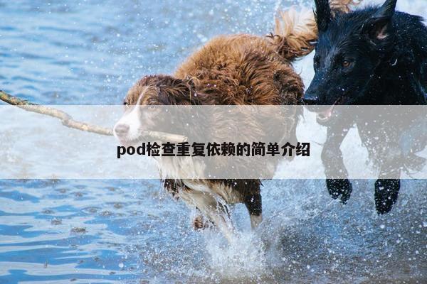 pod检查重复依赖的简单介绍