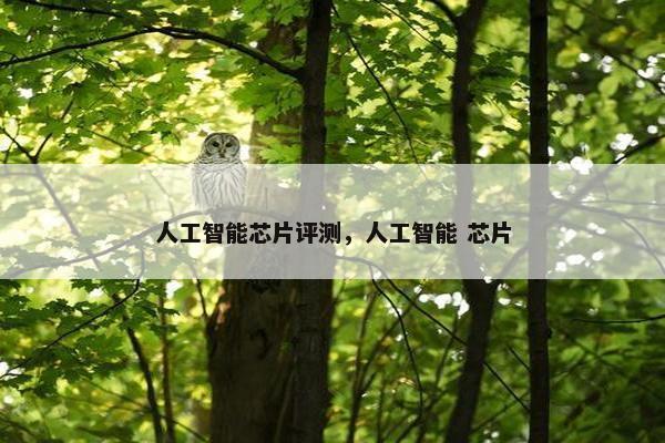 人工智能芯片评测，人工智能 芯片