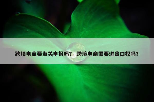 跨境电商要海关申报吗？ 跨境电商需要进出口权吗？