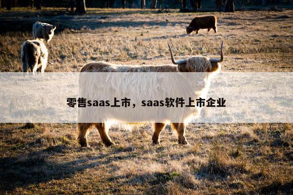 零售saas上市，saas软件上市企业