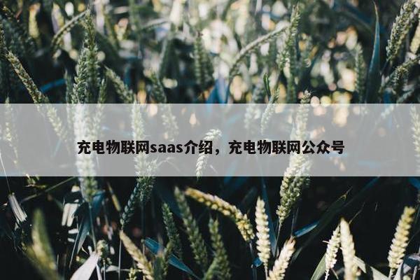 充电物联网saas介绍，充电物联网公众号