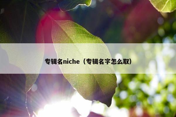 专辑名niche（专辑名字怎么取）