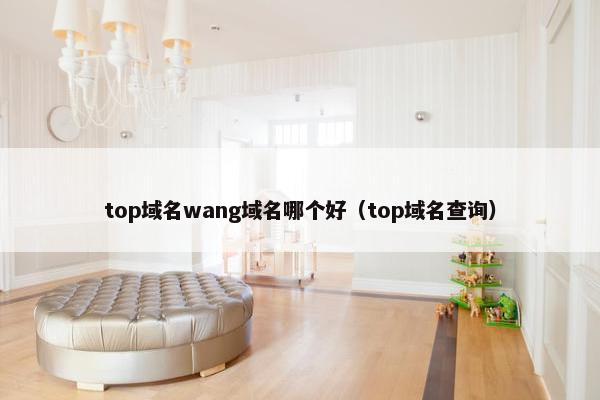 top域名wang域名哪个好（top域名查询）
