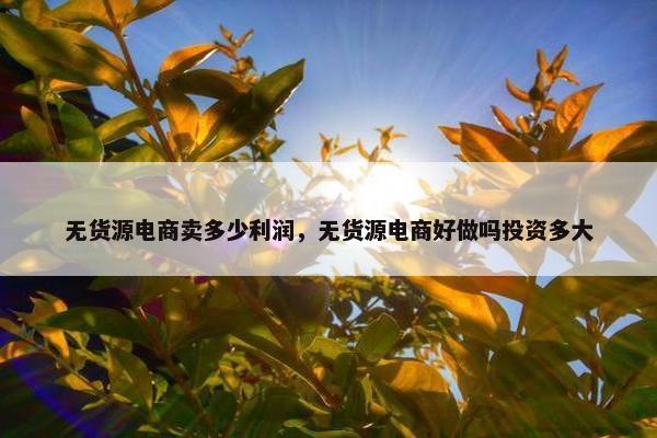 无货源电商卖多少利润，无货源电商好做吗投资多大