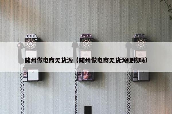 随州做电商无货源（随州做电商无货源赚钱吗）