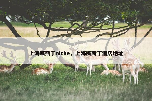 上海威斯丁niche，上海威斯丁酒店地址