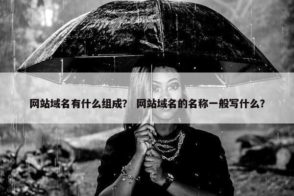 网站域名有什么组成？ 网站域名的名称一般写什么？