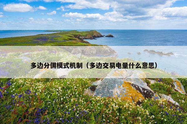 多边分佣模式机制（多边交易电量什么意思）