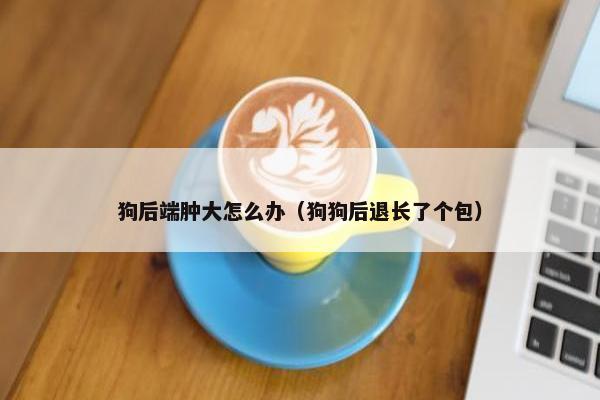 狗后端肿大怎么办（狗狗后退长了个包）