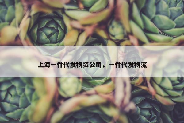 上海一件代发物资公司，一件代发物流
