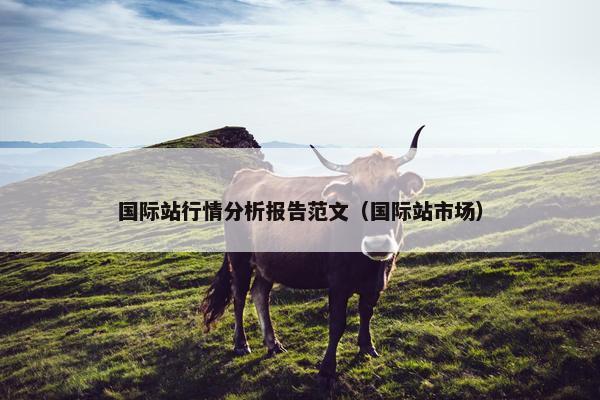 国际站行情分析报告范文（国际站市场）