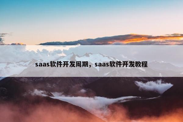 saas软件开发周期，saas软件开发教程