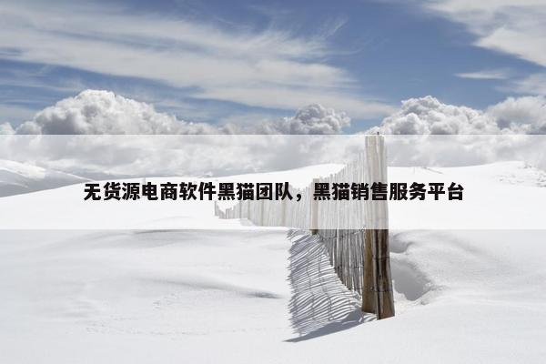 无货源电商软件黑猫团队，黑猫销售服务平台