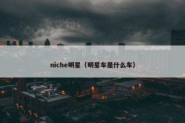 niche明星（明星车是什么车）