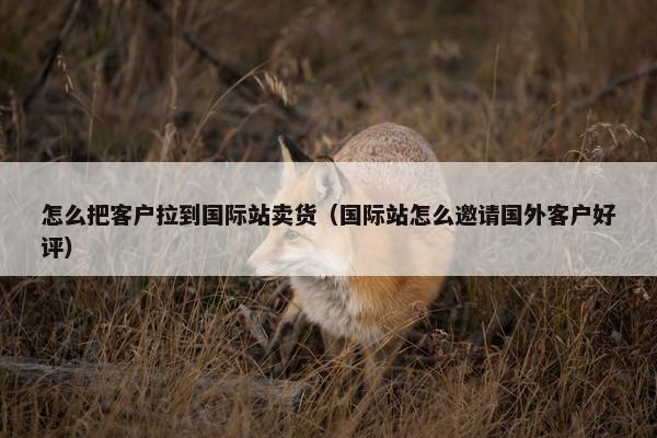 怎么把客户拉到国际站卖货（国际站怎么邀请国外客户好评）
