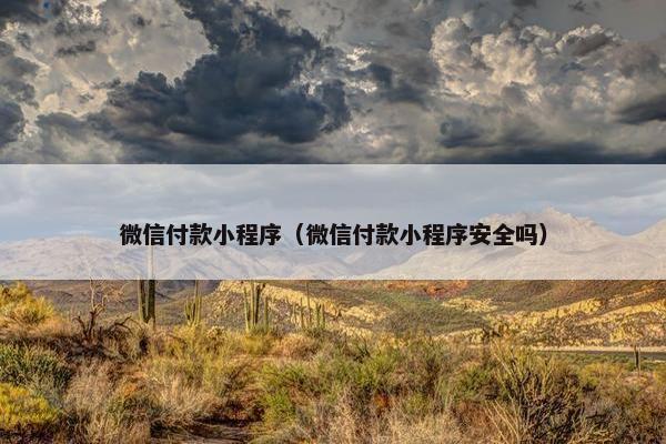 微信付款小程序（微信付款小程序安全吗）