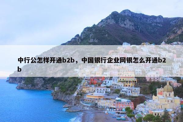 中行公怎样开通b2b，中国银行企业网银怎么开通b2b