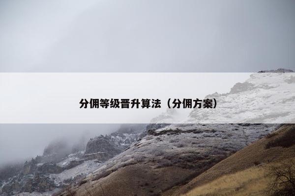 分佣等级晋升算法（分佣方案）