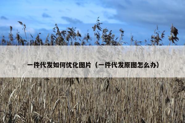 一件代发如何优化图片（一件代发原图怎么办）