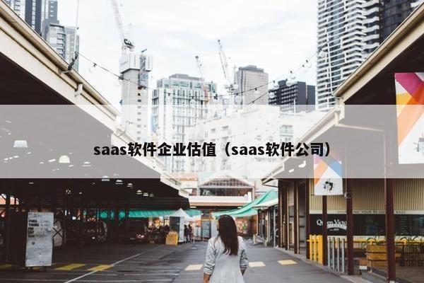 saas软件企业估值（saas软件公司）