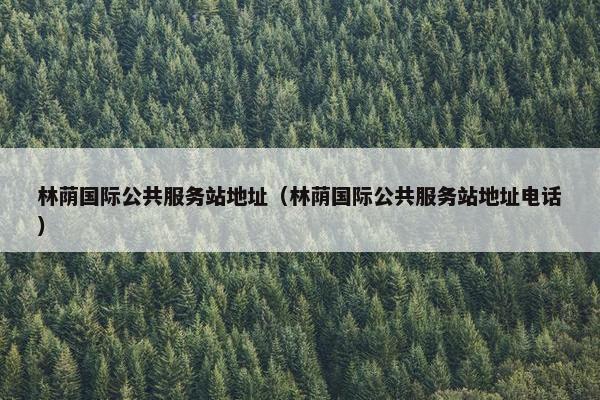 林荫国际公共服务站地址（林荫国际公共服务站地址电话）
