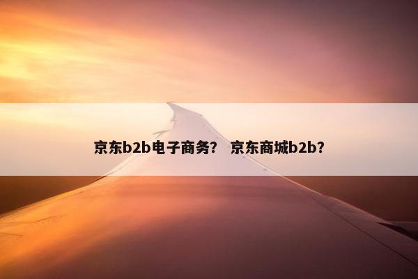 京东b2b电子商务？ 京东商城b2b？