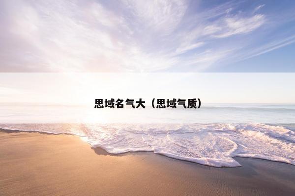 思域名气大（思域气质）