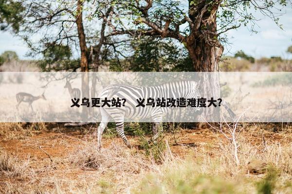 义乌更大站？ 义乌站改造难度大？
