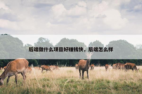 后端做什么项目好赚钱快，后端怎么样