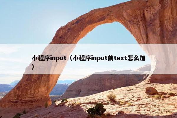小程序input（小程序input前text怎么加）