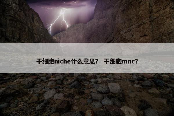 干细胞niche什么意思？ 干细胞mnc？