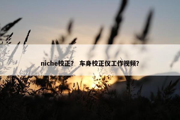 niche校正？ 车身校正仪工作视频？