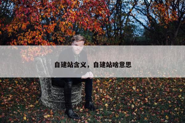 自建站含义，自建站啥意思