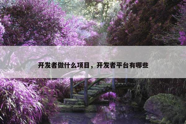 开发者做什么项目，开发者平台有哪些