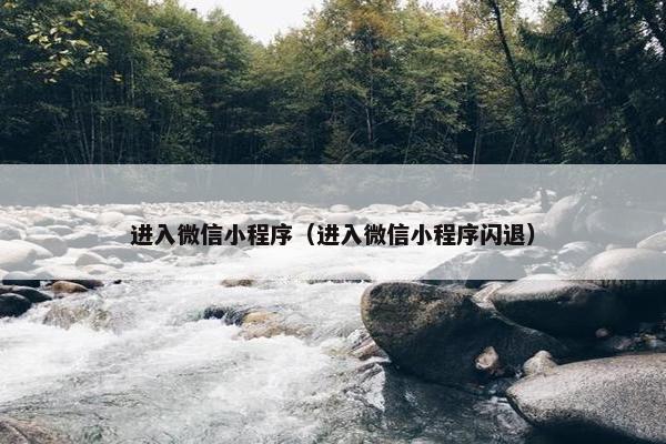 进入微信小程序（进入微信小程序闪退）