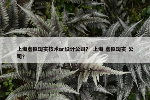 上海虚拟现实技术ar设计公司？ 上海 虚拟现实 公司？