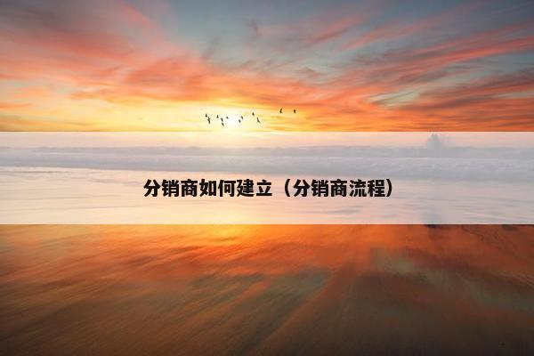 分销商如何建立（分销商流程）